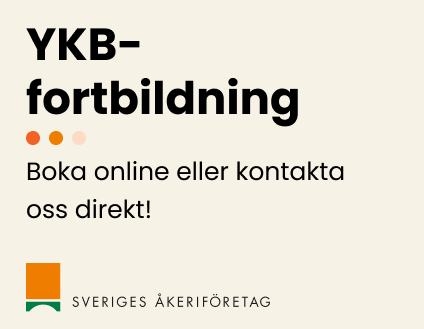 ykb-annons.png.